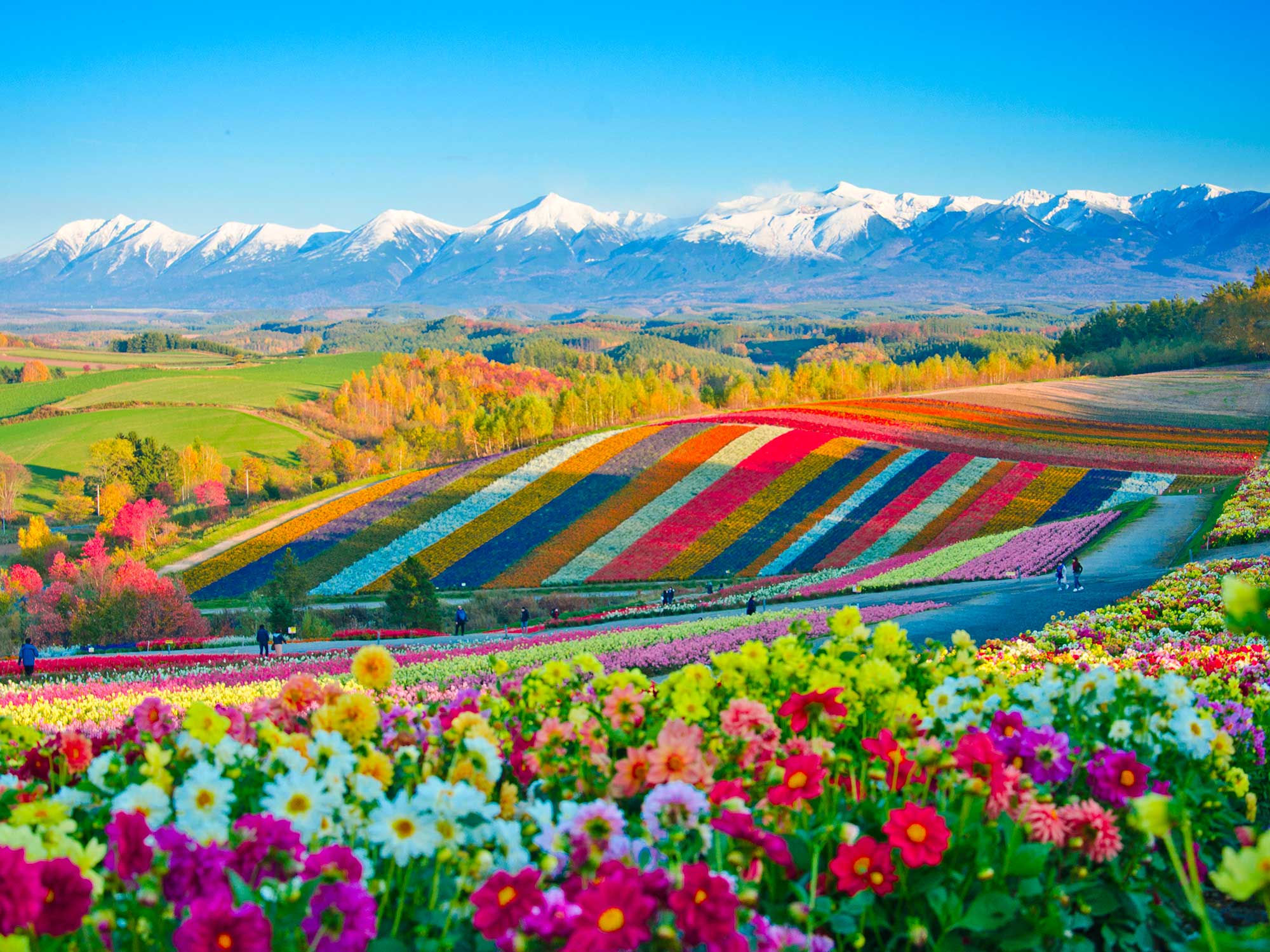 Les 4 saisons d’Hokkaido