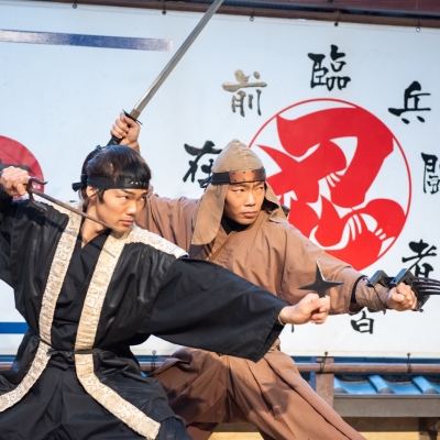 Entrée au musée Ninja Iga et spectacle de ninja