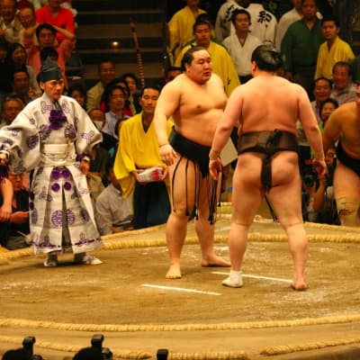 Assistez à un match de sumos à Tokyo