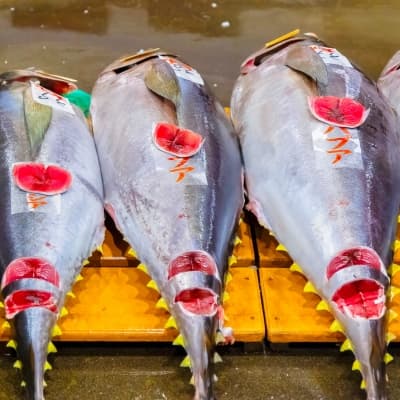 Cours de sushis et promenade dans le marché aux poissons de Tsukiji
