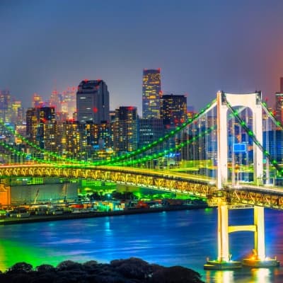 Dîner et croisière dans la baie de Tokyo