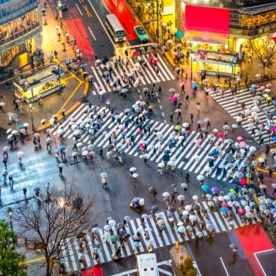 Quartier de Shinjuku et Shibuya