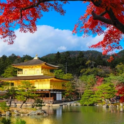 Visite de Kyoto le matin