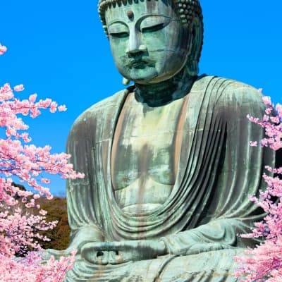 Visite guidée de Kamakura