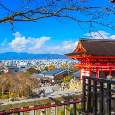 Visite guidée de Kyoto l’après-midi