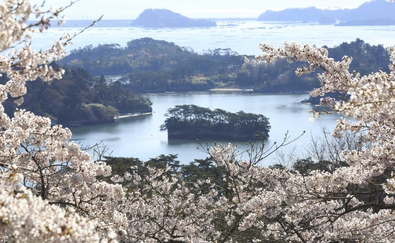 L’idyllique Baie de Matsushima
