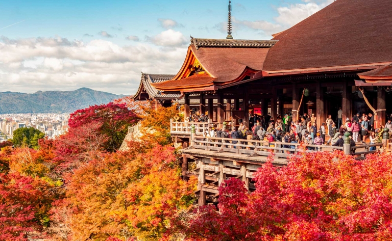 De la beauté naturelle d’Hokkaido à la beauté culturelle de Kyoto